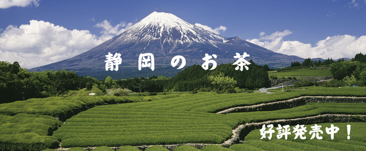 静岡のお茶 好評発売中!